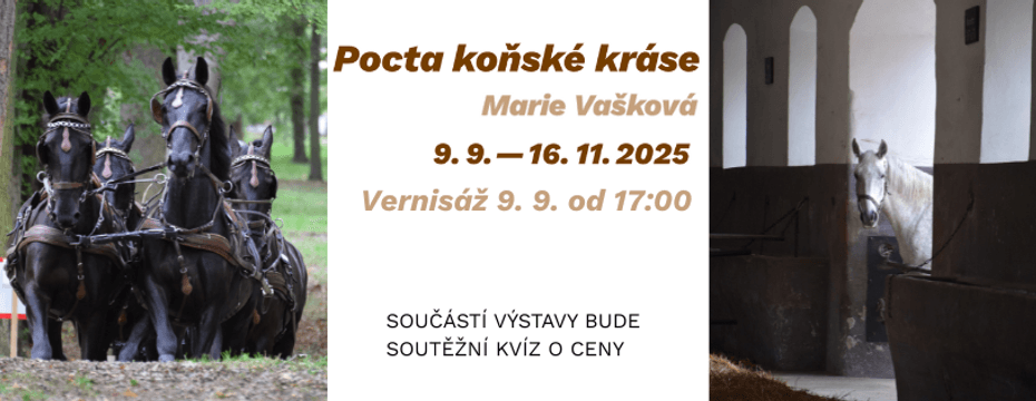 Výstava Pocta koňské kráse